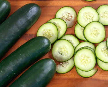 Slice More Burpless Hybrid Cucumber Seeds